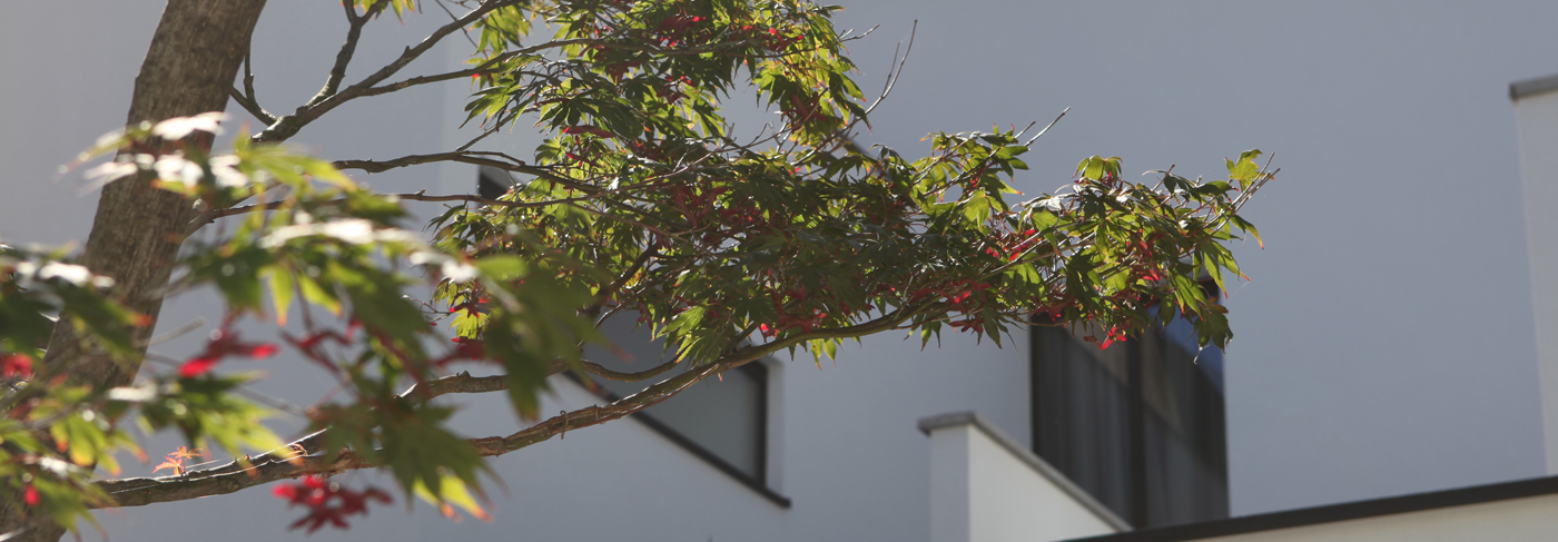 patio_sfeer